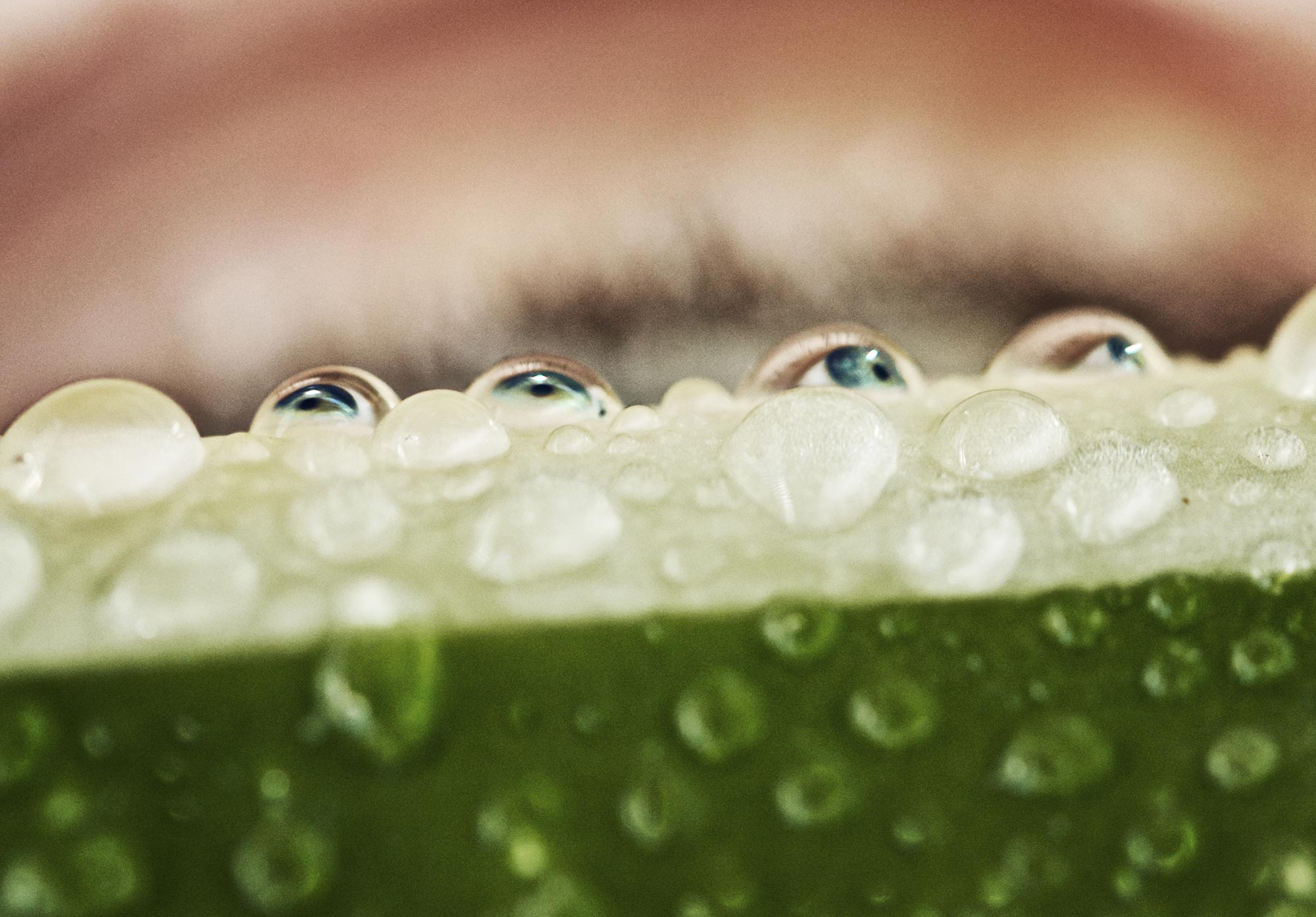 drops of water on a leaf, each reflecting an eyeball