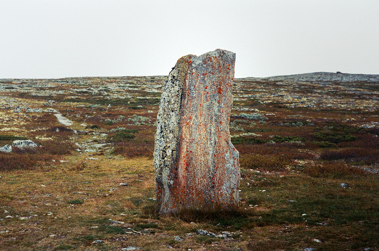 a lichen-streaked weathered (yet fairly recent--1900s-looking, not viking age) runestone stands alone in a rocky plain. black and rust-colored splotches cover the stone. soft overcast lighting.