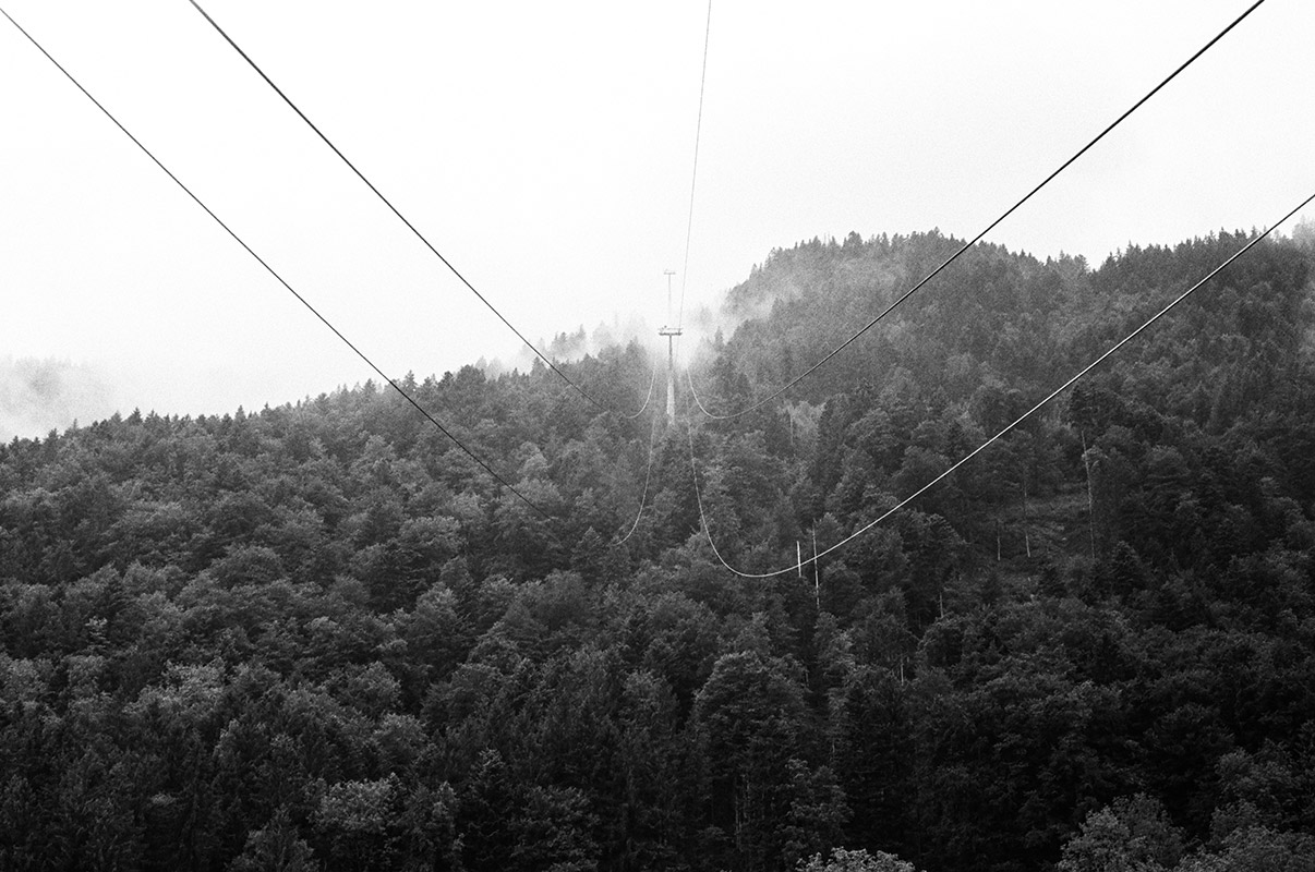 the lines of the gondola heading up the mountain from Weggis (Luftseilbahn) to Rigi Kaltbad. below them, a dense pine forest and mist visible through the trees.
